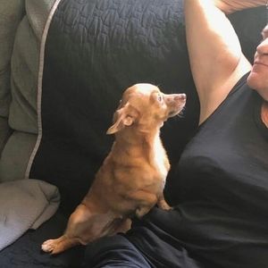 Meet your Posher, Charlene